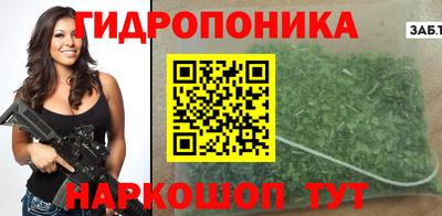 амф Новодвинск