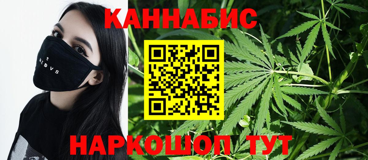 Бошки марихуана OG Kush  Конопля план  Конопля сатива  Вход с VPN  МАРИХУАНА марихуана  Ульяновск 